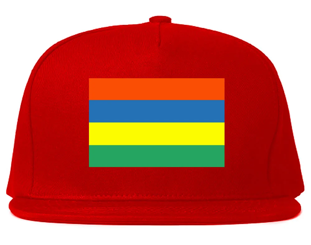 Mauritius Flag Country Printed Snapback Hat Cap