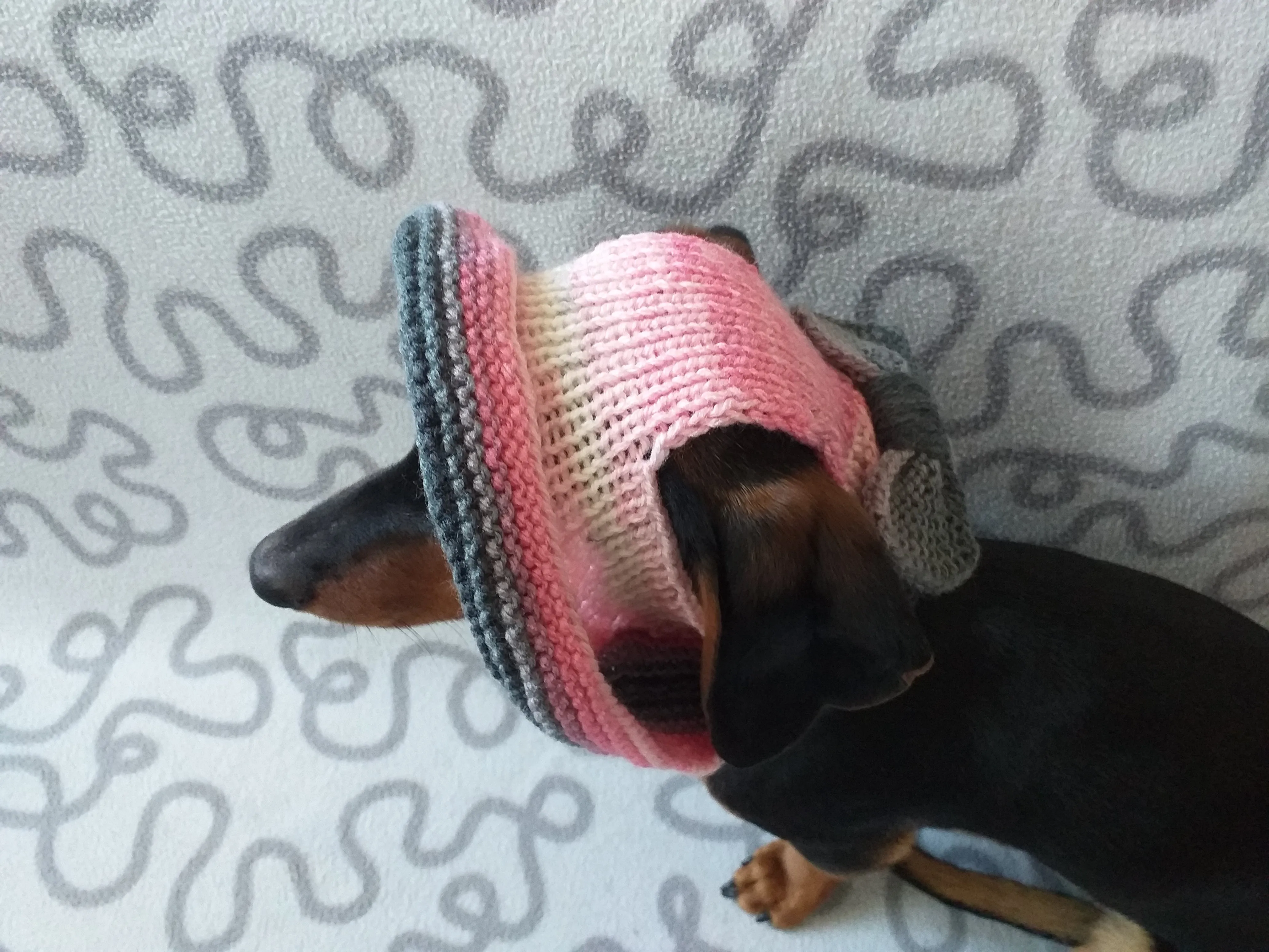 Summer knitted hat for dogs, panama for dogs, hat for dogs, hat for dachshund, accessories for dogs, gift for dogs, dog clothes,hat the sun